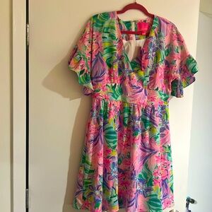 Brand new Lilly Pulitzer Blair dress. Never worn new with tags.